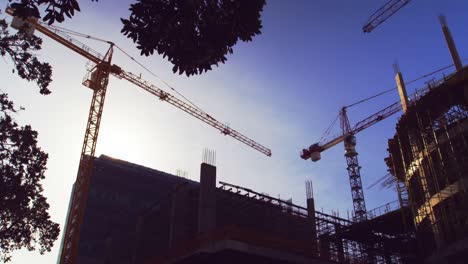Time-lapse-of-crane-and-building-construction-site