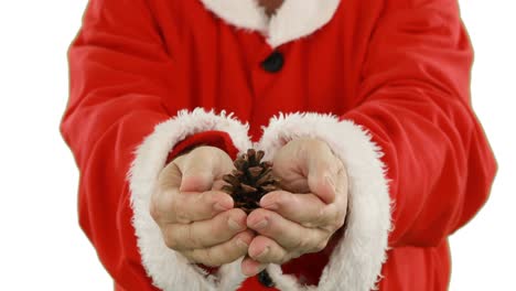Mid-section-of-santa-claus-holding-pine-cone