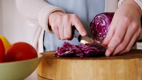 Mid-section-of-woman-cutting-red-cabbage-in-kitchen