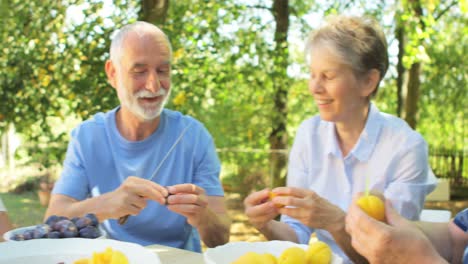 Senior-couples-removing-seeds-of-apricot-fruits-in-garden
