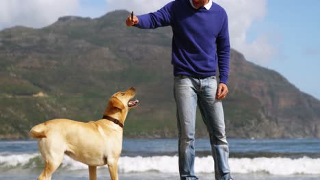Glücklicher-Reifer-Mann,-Der-Mit-Hund-Am-Strand-Spielt