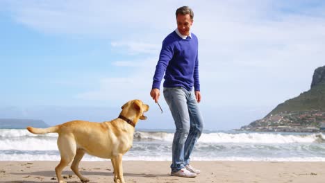 Glücklicher-Reifer-Mann,-Der-Mit-Hund-Am-Strand-Spielt
