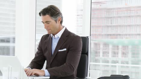 Panorama-of-businessman-using-a-laptop-in-office