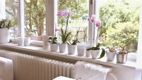 Interior-of-living-room