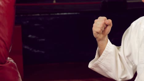 Man-practicing-karate-with-punching-bag