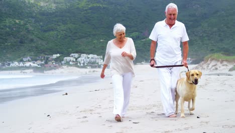 Glückliches-älteres-Paar,-Das-Mit-Hund-Am-Strand-Spaziert