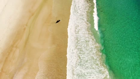 Luftaufnahme-Eines-Wunderschönen-Strandes