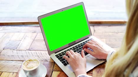 Female-customer-using-laptop