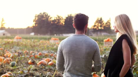Couple-standing-in-a-pumpkin-field
