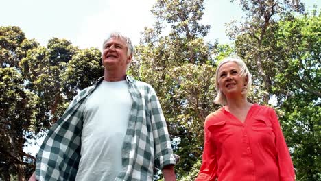 Senior-couple-walking-in-park