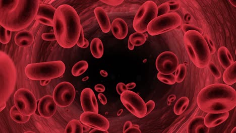 Digital-Erzeugte-Rote-Blutkörperchen,-Die-Durch-Die-Arterien-Fließen