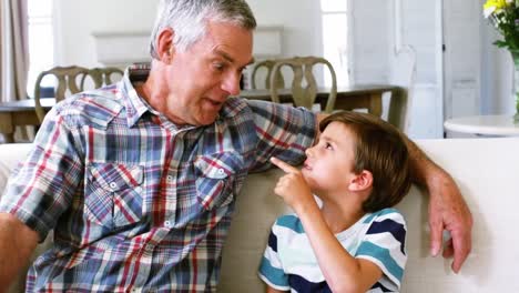 Grandfather-interacting-with-grandson-on-sofa
