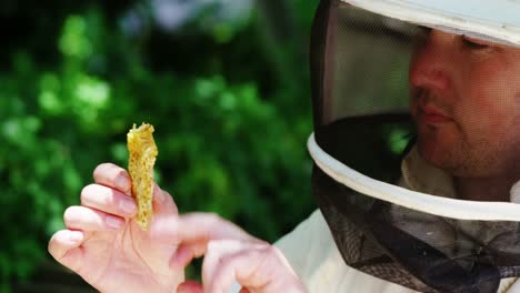 Beekeeper-holding-a-piece-of-fresh-honeycomb-