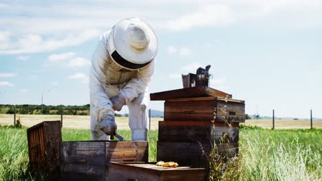 Imker-Untersucht-Bienenstock