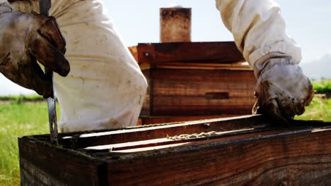 Imker-Entfernt-Einen-Honigrahmen-Aus-Einem-Bienenstock