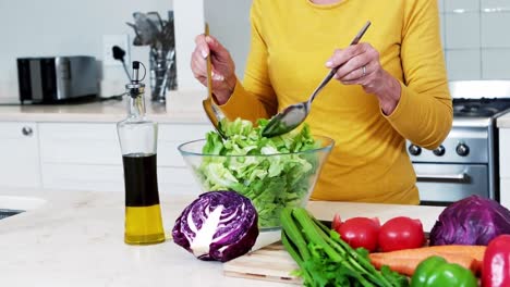 Senior-woman-preparing-vegetable-salad