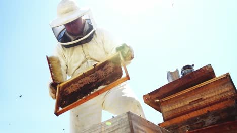 Imker-Hält-Bienenstock-Und-Erntet-Honig