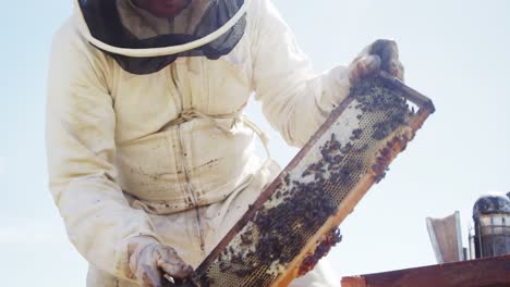 Imker-Fügt-Einen-Honigrahmen-In-Den-Bienenstock-Ein