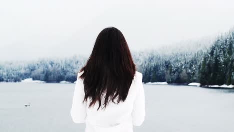 Rear-view-of-woman-standing-in-snow-covered-landscape