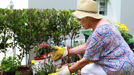Senior-woman-gardening-in-the-garden