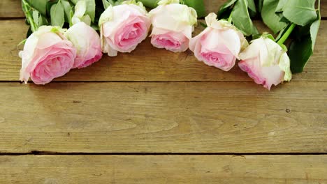 Pink-roses-arranged-on-wooden-plank