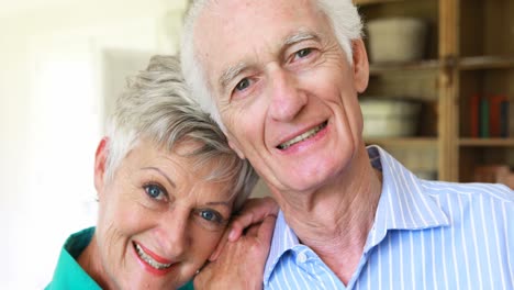 Portrait-of-smiling-senior-couple-posing-together-in-living-room