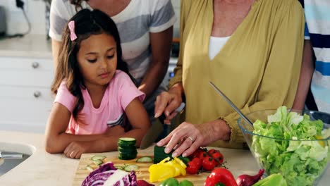 Grandmother-chopping-vegetables-while-family-watching-her-in-kitchen