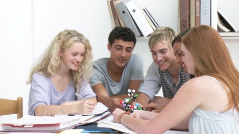 Teenagers-doing-Science-homework