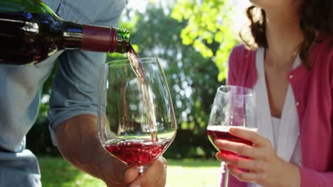 Happy-couple-having-red-wine-in-park
