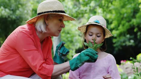 Grandmother-and-granddaughter-gardening-in-the-park