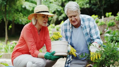 Älteres-Paar-Bei-Der-Gartenarbeit