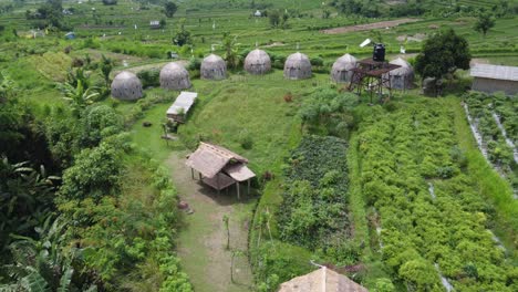 Elegantes-Cabañas-Con-Techo-De-Paja-En-Un-Terreno-Glamping-En-Medio-De-Tierras-De-Cultivo-En-El-Alojamiento-Turístico-Del-Valle-Maha-Gangga