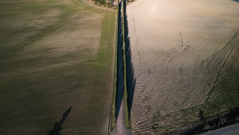 Road-lined-with-cypress-trees-divide-empty-barren-field-from-grassy-greens-around-villa-mansion,-Val-d'Orcia-Tuscany