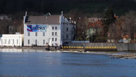 Vltava-river-in-Prague-and-Yellow-Penguins,-Kampa-Park