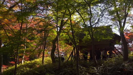 Edificio-Tradicional-Japonés-Con-Techo-De-Paja-En-El-Jardín-Paisajístico-Japonés.