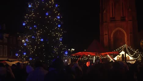 Árbol-De-Navidad-Con-Luces-Decorativas-En-Un-Mercado-Navideño-Holandés.