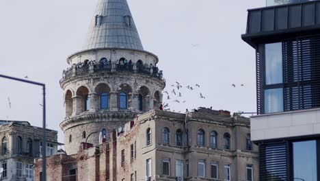 Museo-De-La-Torre-De-Gálata-En-Estambul,-Una-Mujer-Influyente-En-Las-Redes-Sociales-Bailando-Con-Palomas-En-Un-Famoso-Lugar-Turístico