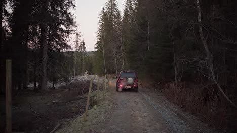 Un-Coche-Con-Las-Luces-Traseras-Encendidas-Se-Mueve-Hacia-El-Bosque---Toma-Estática