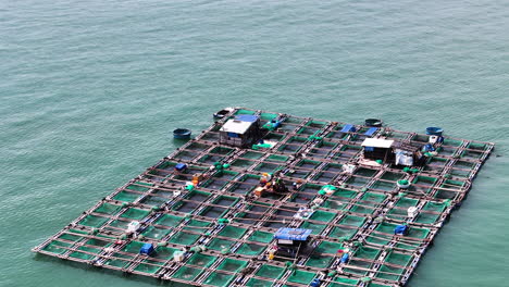 Vietnam-Invierte-En-Granjas-De-Acuicultura-Marina-Para-Criar,-Criar-Y-Cosechar-Peces-Y-Otros-Productos-Del-Mar.