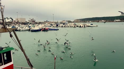 Group-of-seagulls-hovering-above-the-water's-surface,-set-against-a-backdrop-of-small-ships-and-boats