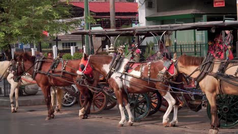 Reihen-Von-Touristischen-Pferdekutschen-Auf-Der-Malioboro-Street,-Yogyakarta,-Indonesien