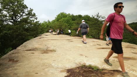 Excursionistas-En-El-Sendero-Del-Parque-Estatal