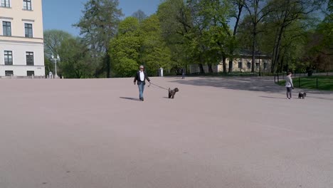 Toma-De-Cardán-De-Personas-Paseando-A-Sus-Perros-Por-El-Parque-En-El-Palacio-Real-De-Oslo,-Noruega.