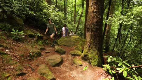 Wanderer-Auf-State-Park-Trail