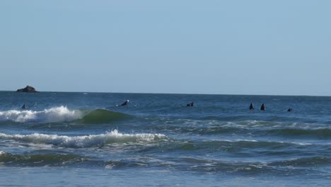 Surfistas-En-Trajes-De-Neopreno-Montan-Las-Olas-Más-Allá-Del-Rompiente-Buscando-Una-Ola-Para-Montar