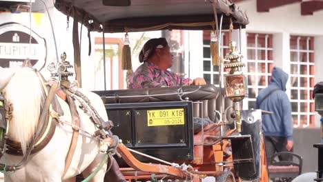 Traditional-horse-carriage-with-driver-sitting-waiting-for-passengers