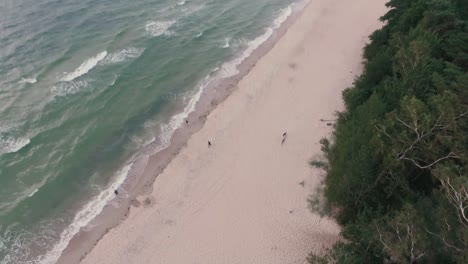 La-Cámara-Del-Dron-Se-Mueve-Lentamente-Hacia-Arriba-Y-Muestra-A-Personas-Irreconocibles-Dando-Un-Paseo-Por-La-Playa-Del-Mar-Báltico-Polaco.