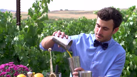 Barman-Haciendo-Un-Cóctel-En-La-Naturaleza