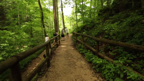 Wanderer-Auf-State-Park-Trail