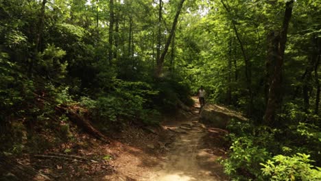 Wanderer-Auf-State-Park-Trail